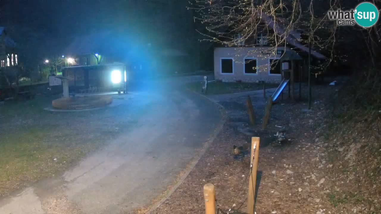 Skrad web kamera Zeleni Vir