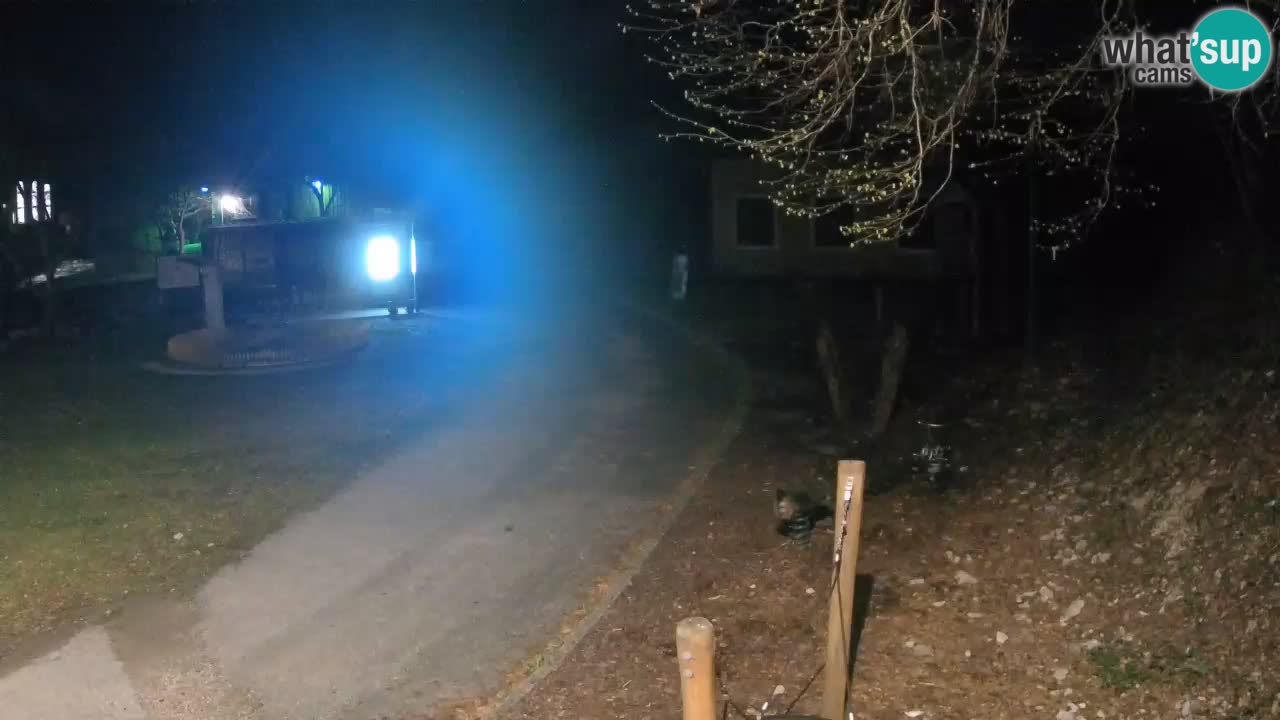 Skrad Livecam Zeleni Vir