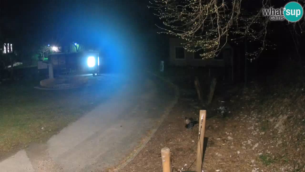 Skrad webcam Zeleni Vir