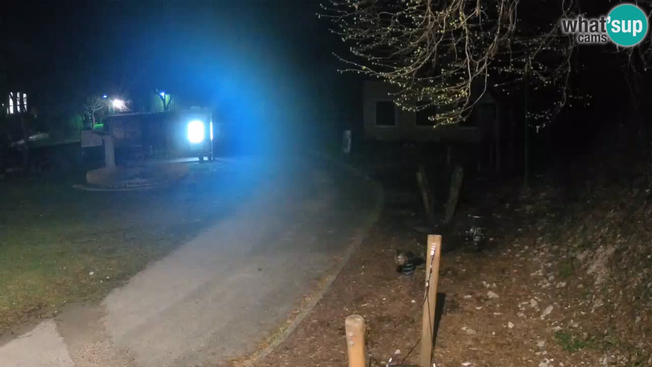 Skrad web kamera Zeleni Vir