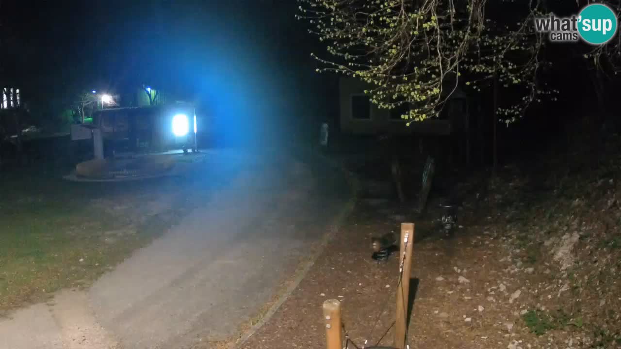 Skrad live cam Zeleni Vir