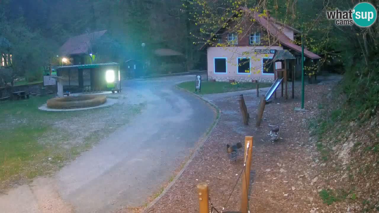 Skrad webcam Zeleni Vir