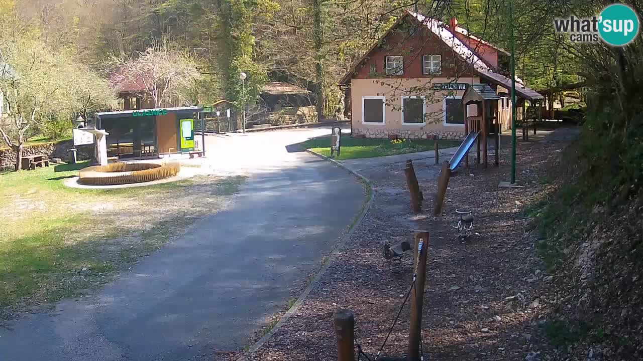 Skrad webcam Zeleni Vir