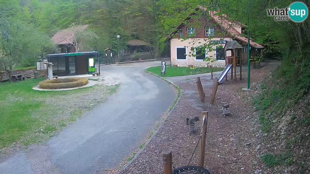 Skrad webcam Zeleni Vir