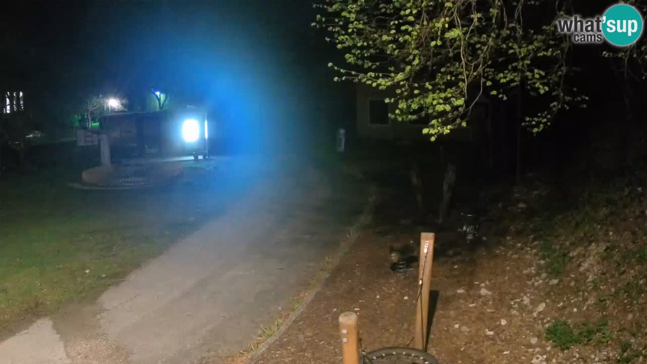 Skrad live cam Zeleni Vir