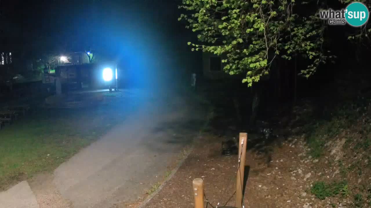 Skrad Livecam Zeleni Vir