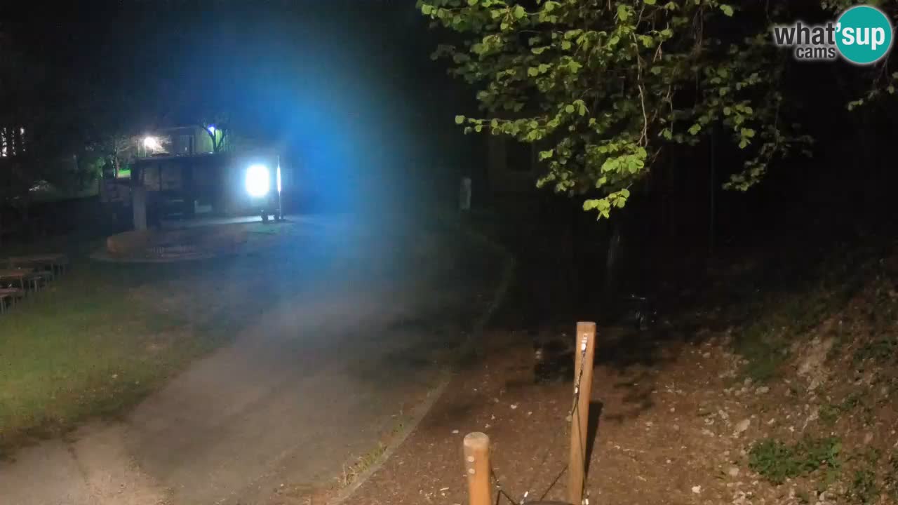 Skrad spletna kamera Zeleni Vir