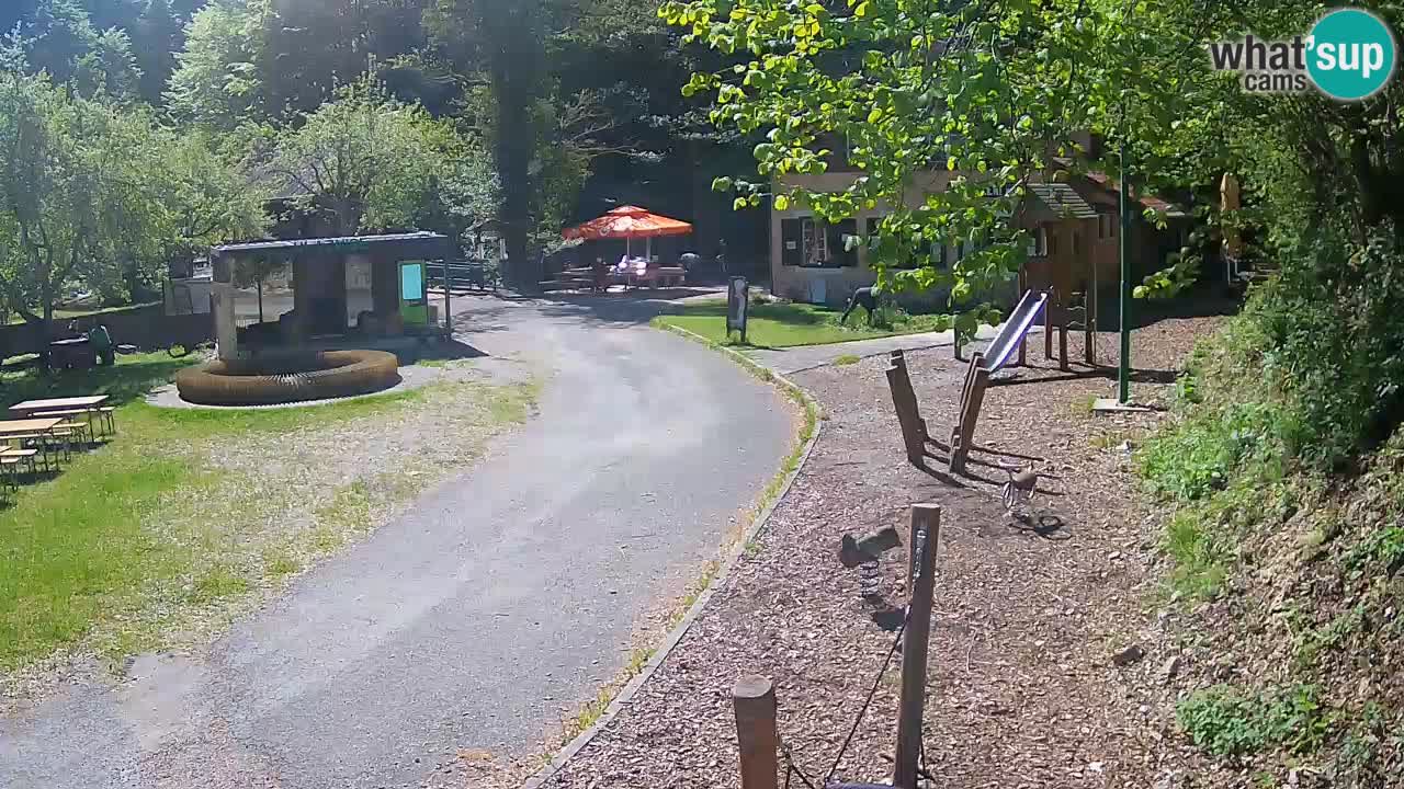Skrad Livecam Zeleni Vir