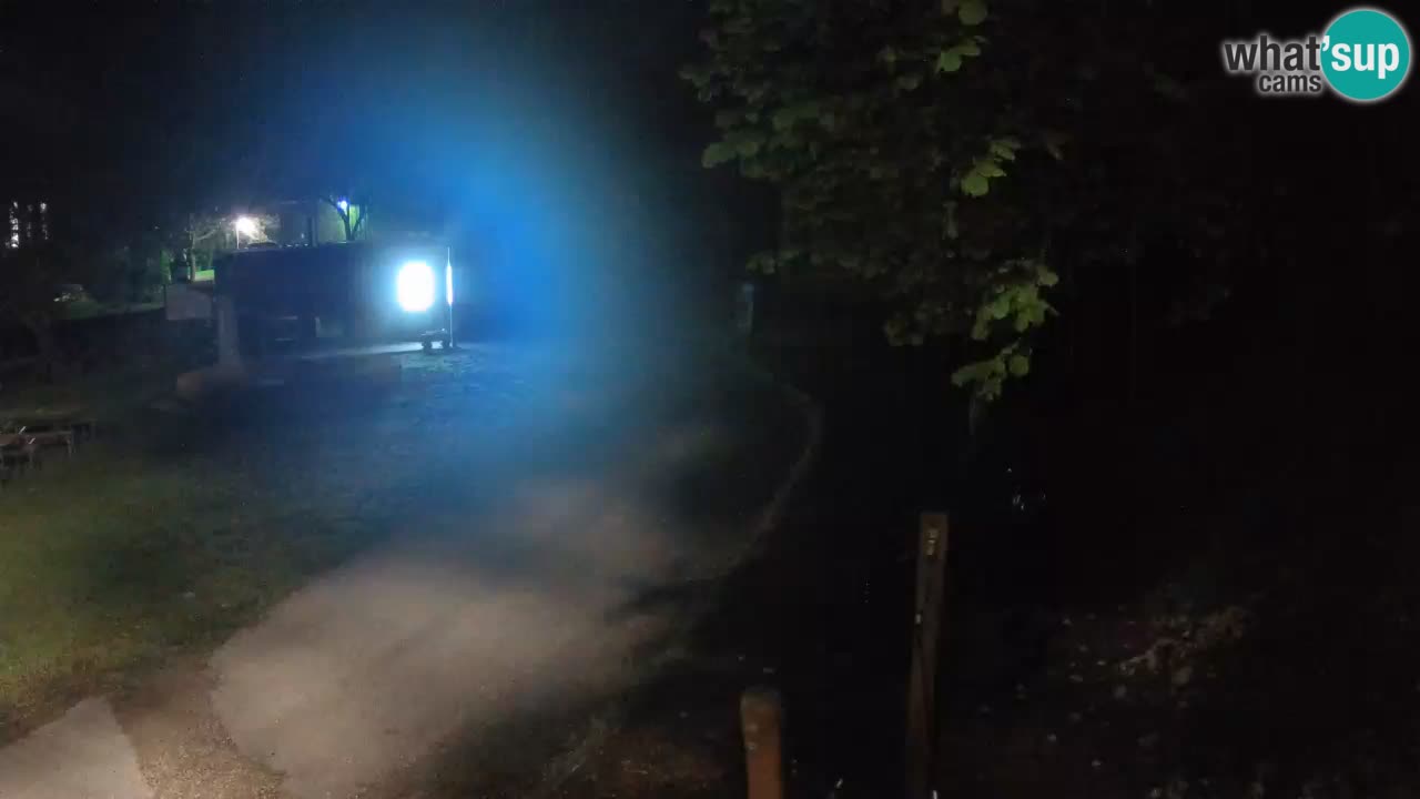 Skrad livecam Zeleni Vir