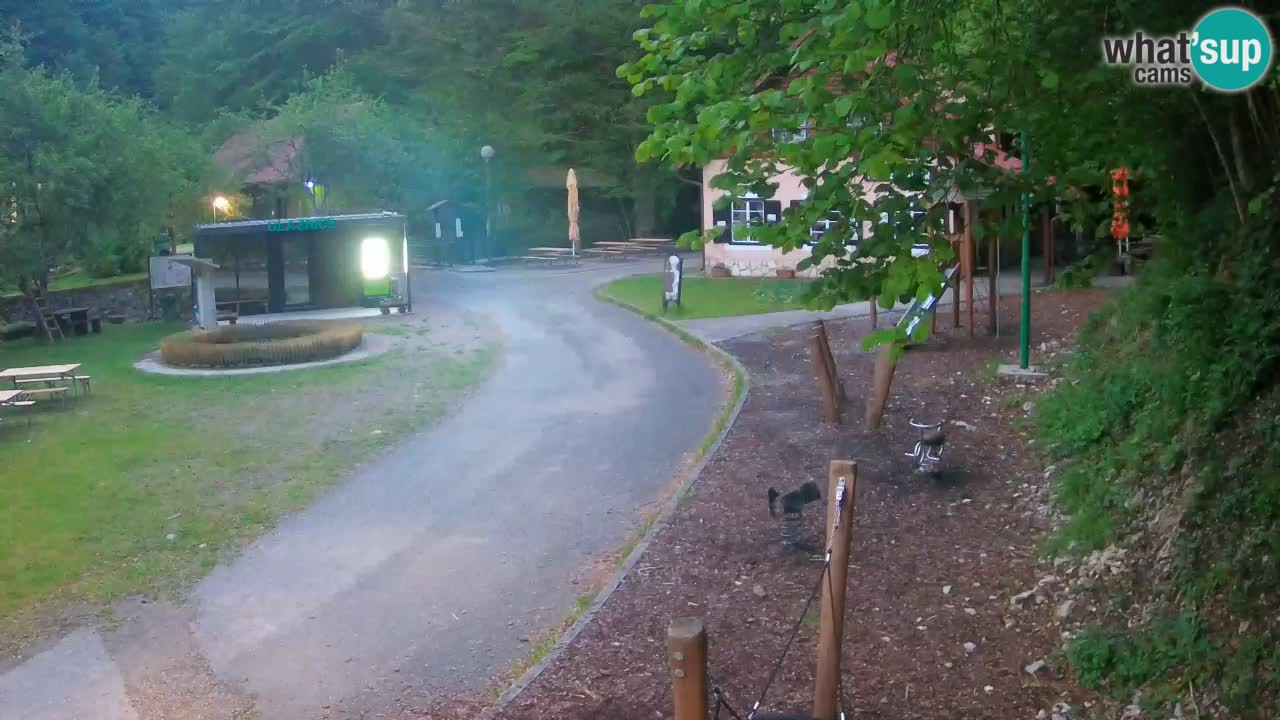 Skrad spletna kamera Zeleni Vir