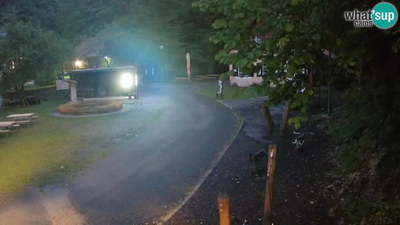 Skrad webcam Zeleni Vir