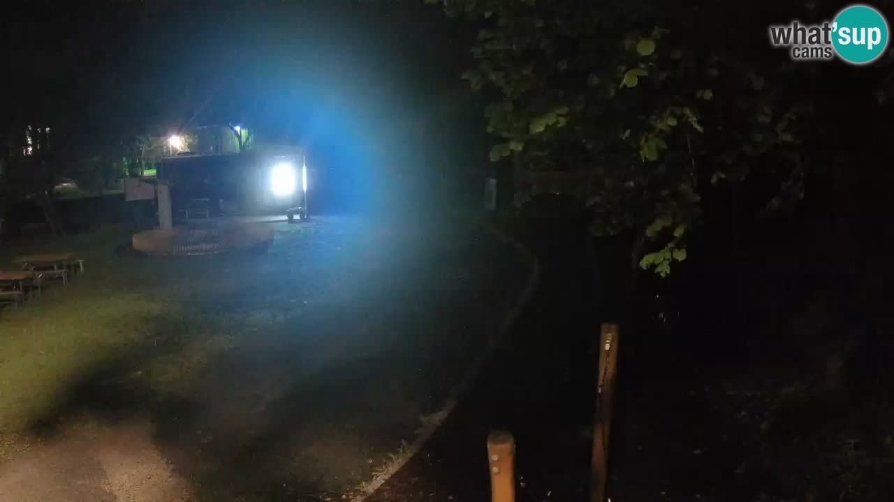 Skrad spletna kamera Zeleni Vir