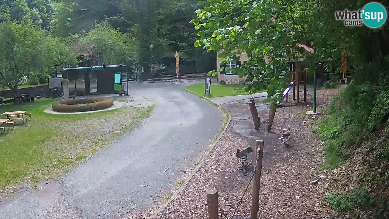 Skrad webcam Zeleni Vir