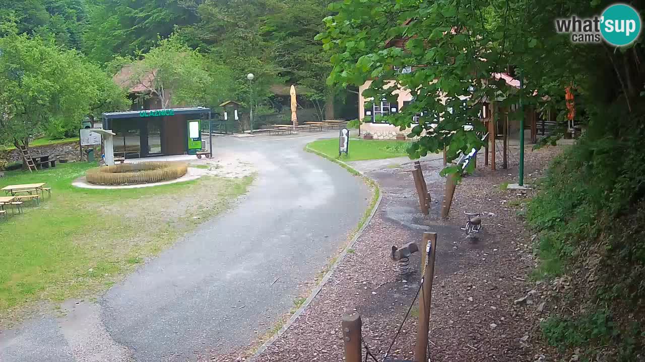 Skrad live cam Zeleni Vir