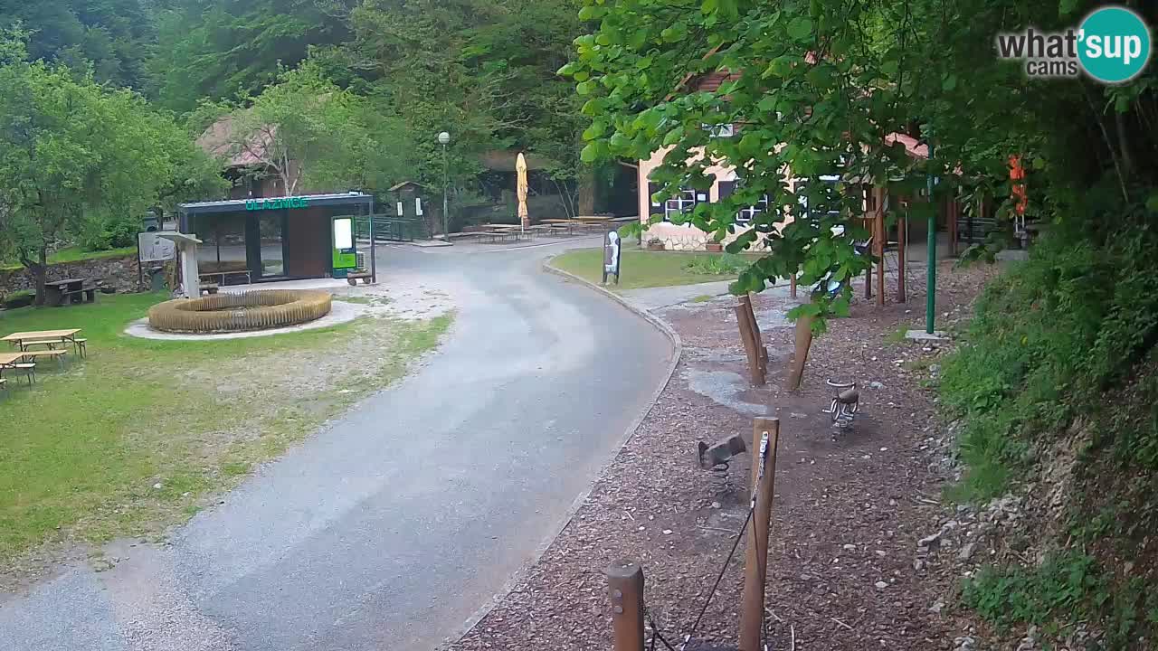 Skrad webcam Zeleni Vir