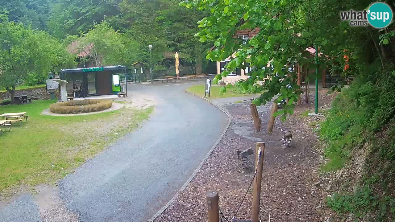 Skrad live cam Zeleni Vir