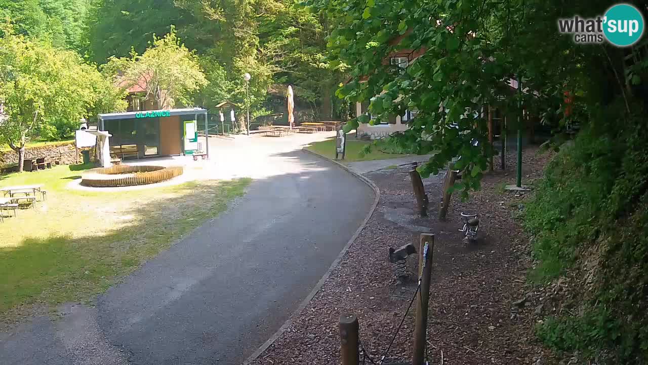 Skrad webcam Zeleni Vir