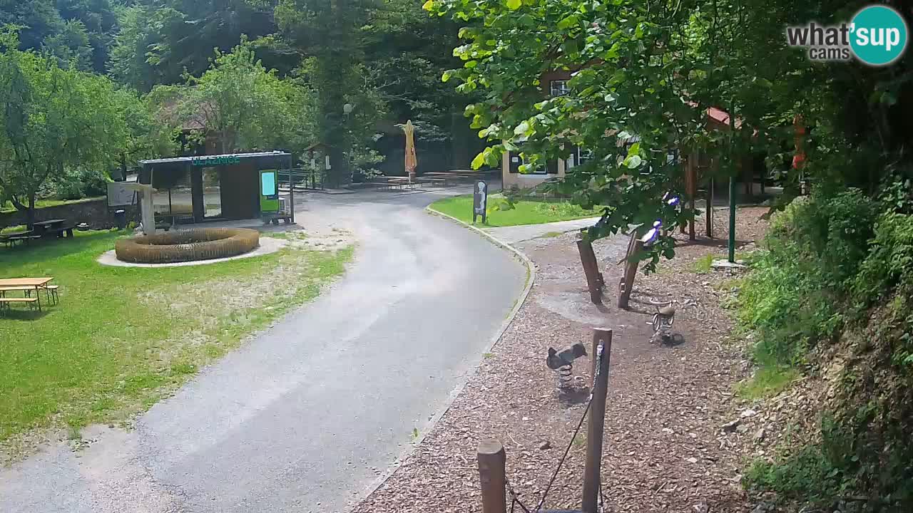 Skrad webcam Zeleni Vir