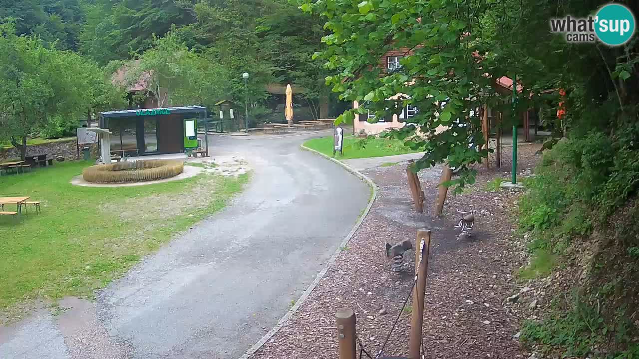 Skrad Livecam Zeleni Vir