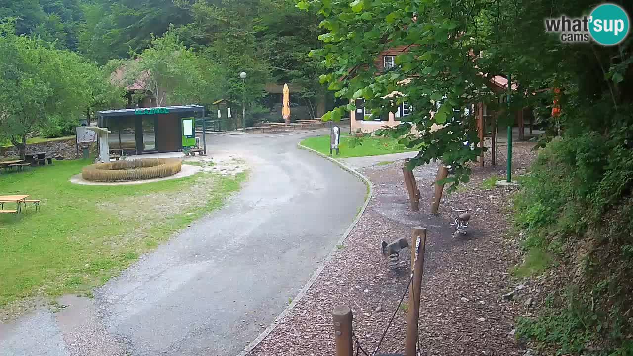 Skrad webcam Zeleni Vir