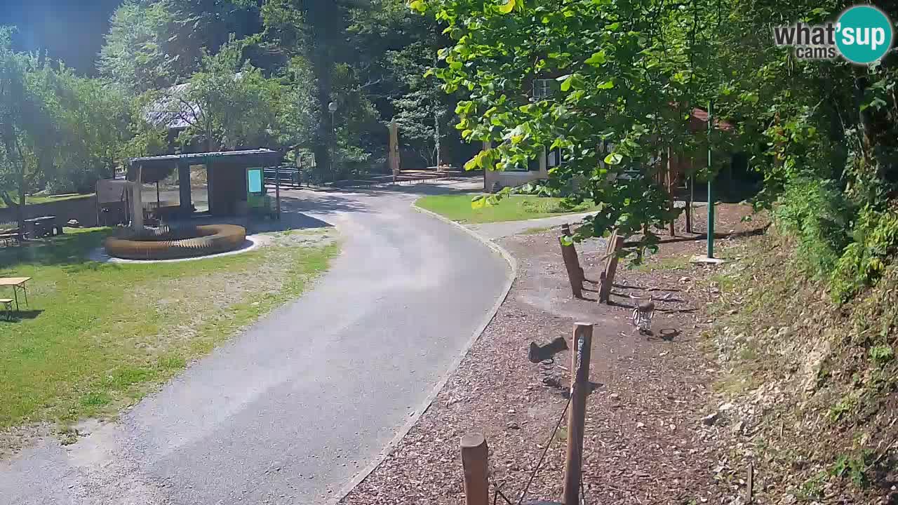 Skrad livecam Zeleni Vir