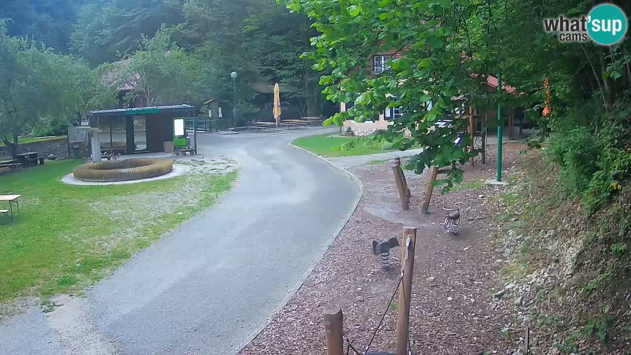Skrad webcam Zeleni Vir