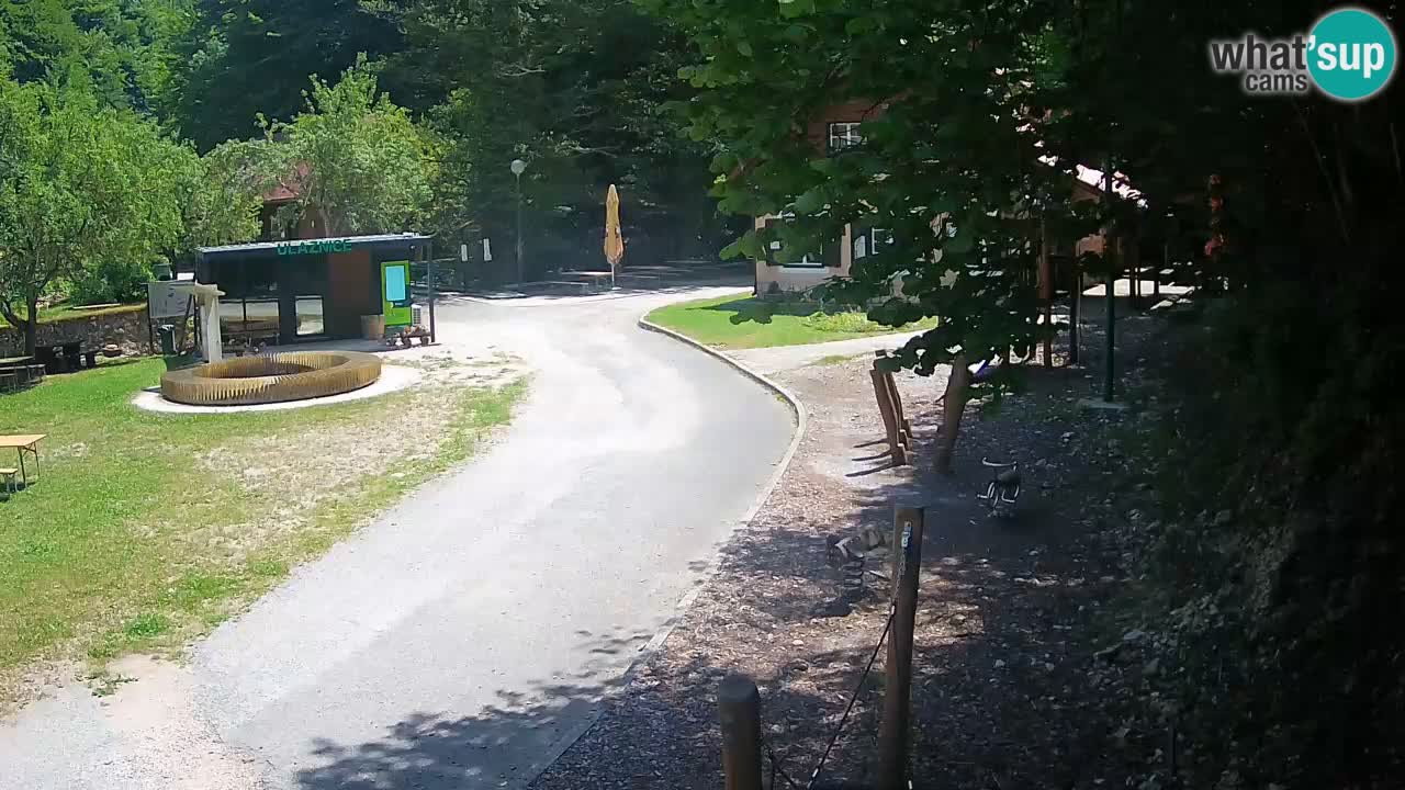 Skrad Livecam Zeleni Vir