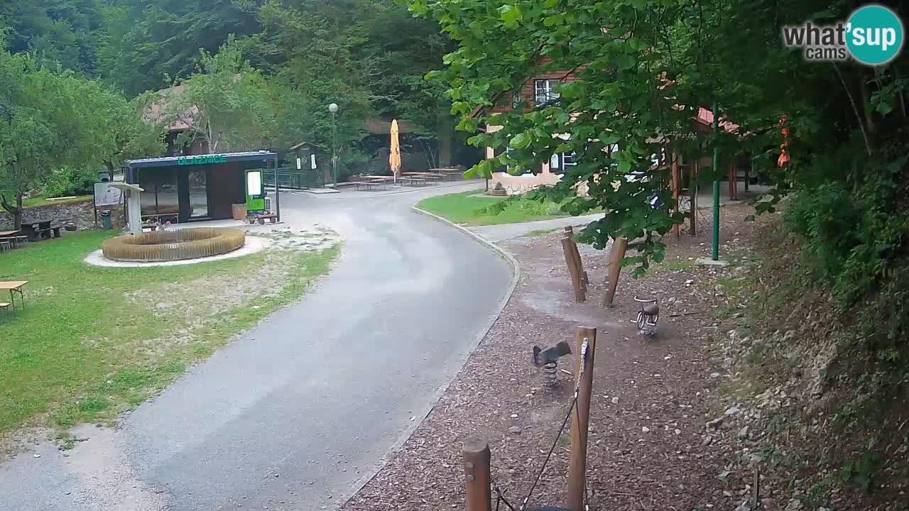 Skrad webcam Zeleni Vir