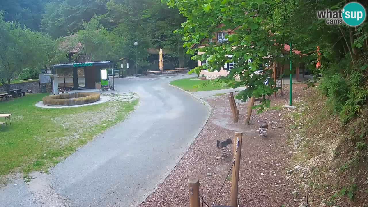 Skrad webcam Zeleni Vir