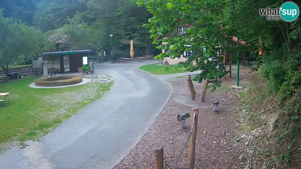 Skrad live cam Zeleni Vir