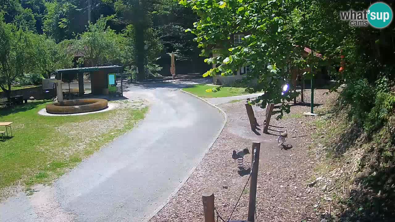 Skrad livecam Zeleni Vir