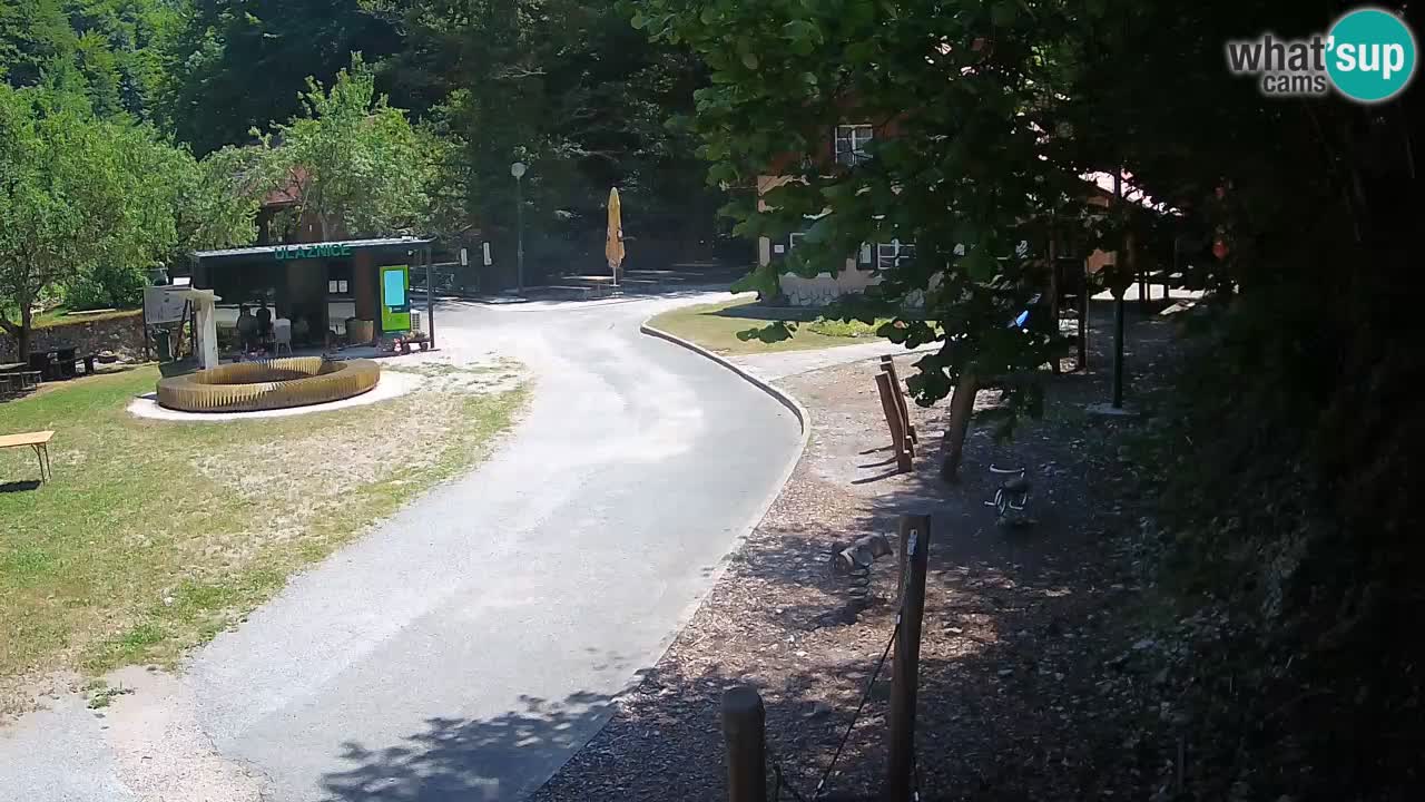 Skrad spletna kamera Zeleni Vir
