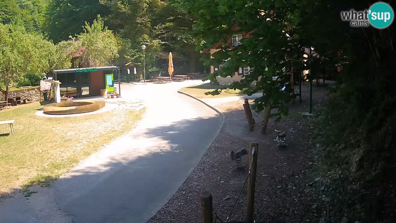 Skrad webcam Zeleni Vir