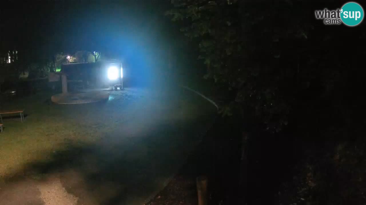 Skrad livecam Zeleni Vir