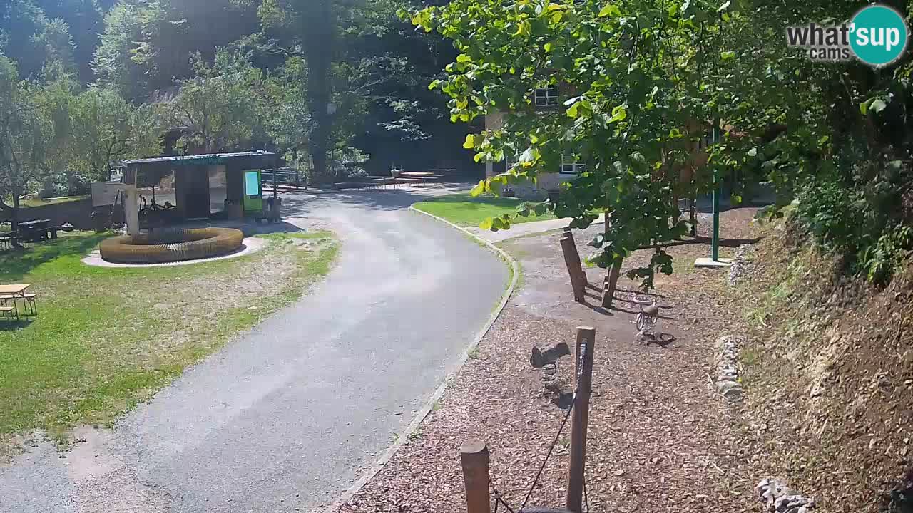 Skrad webcam Zeleni Vir