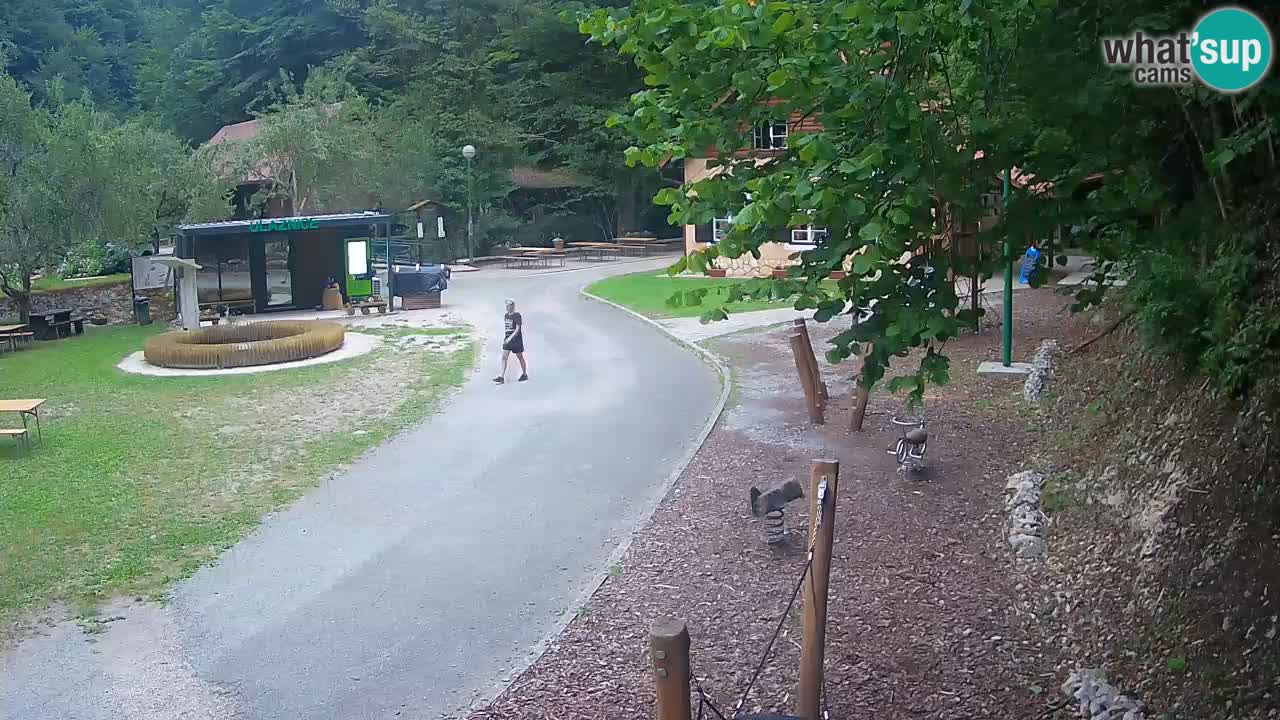 Skrad webcam Zeleni Vir