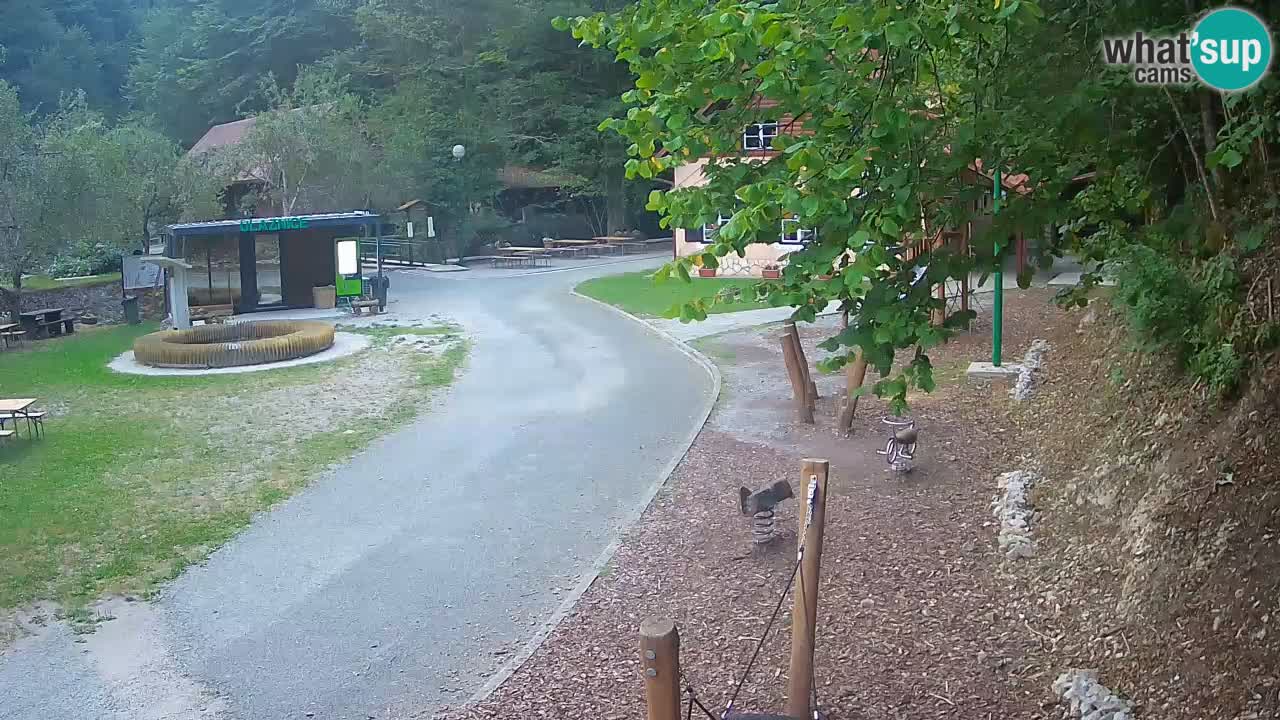 Skrad live cam Zeleni Vir