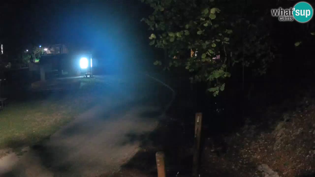 Skrad webcam Zeleni Vir