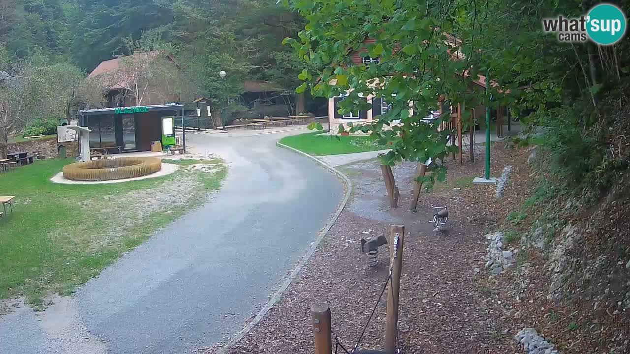Skrad live cam Zeleni Vir