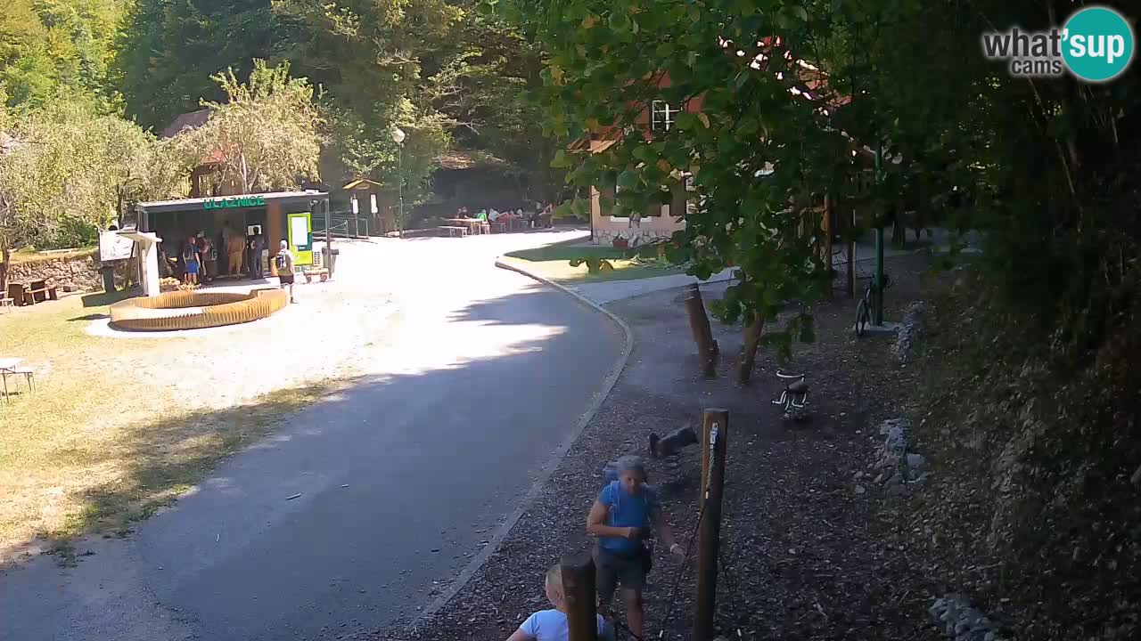 Skrad Livecam Zeleni Vir