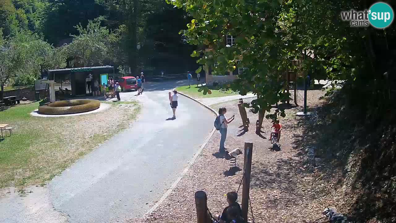 Skrad webcam Zeleni Vir