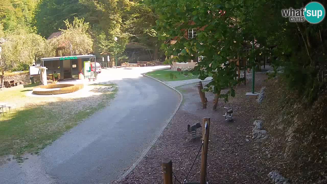 Skrad webcam Zeleni Vir