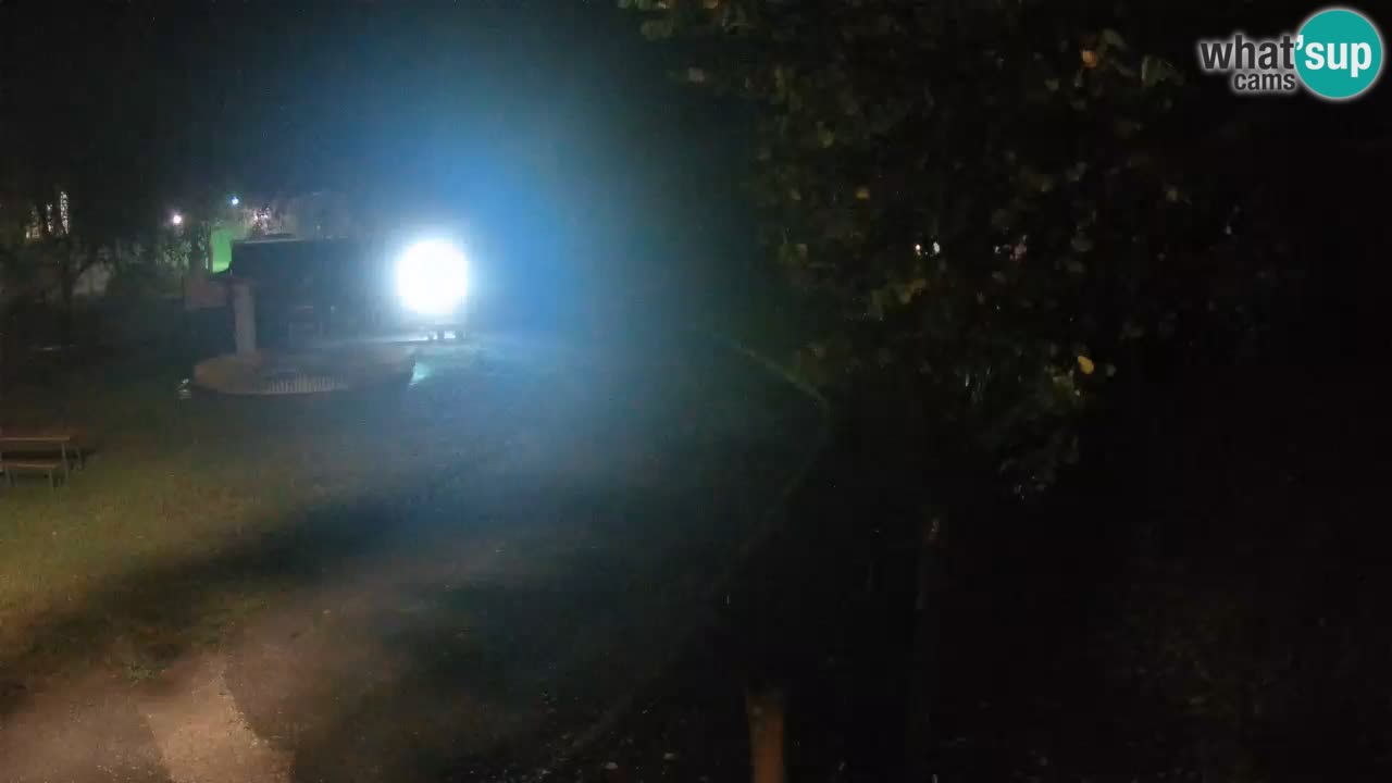 Skrad livecam Zeleni Vir