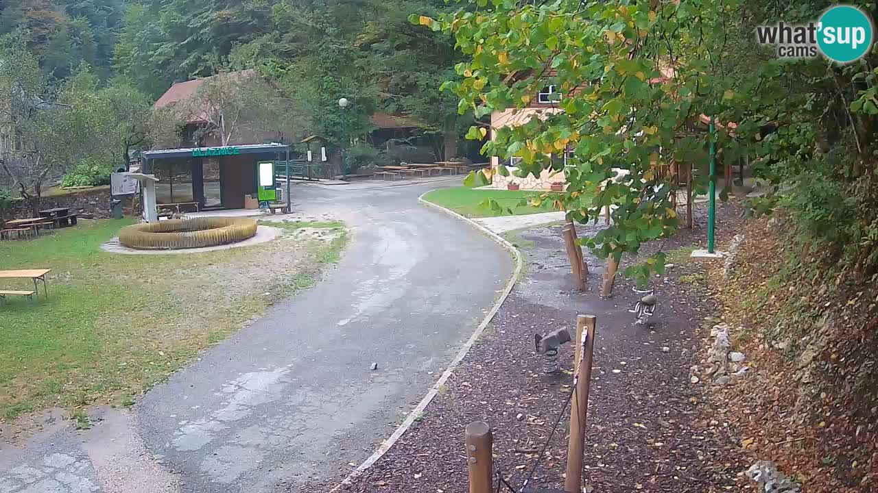 Skrad spletna kamera Zeleni Vir