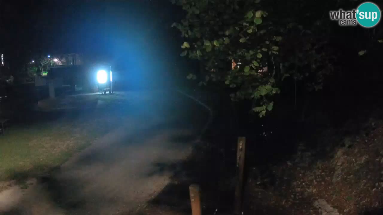 Skrad webcam Zeleni Vir