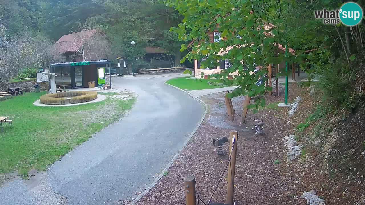 Skrad webcam Zeleni Vir