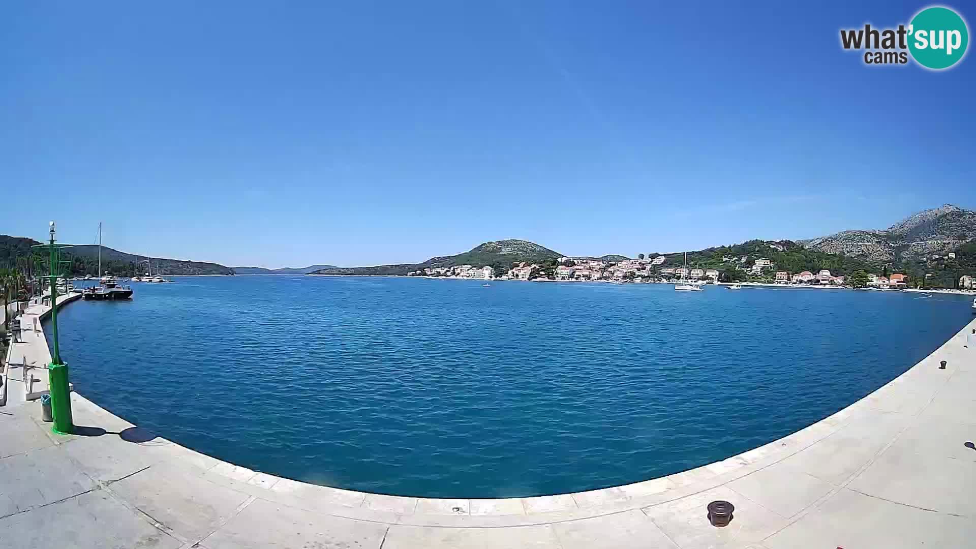 Web kamera Slano – bahía