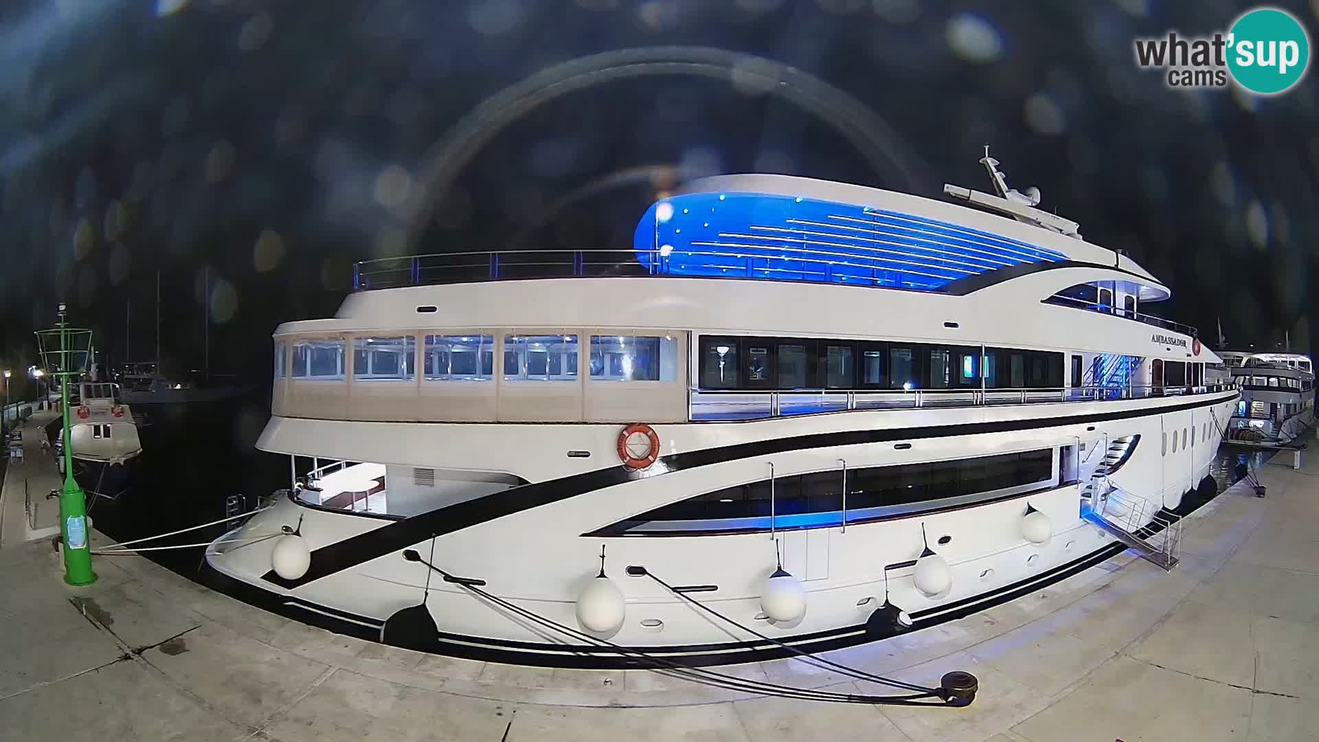 Spletna kamera Slano – Riva