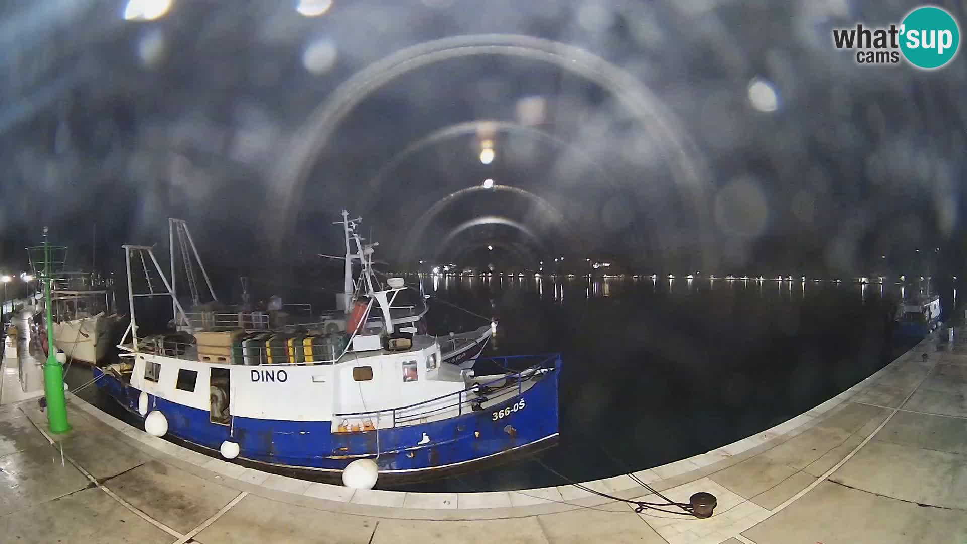 Webcam Slano – bay