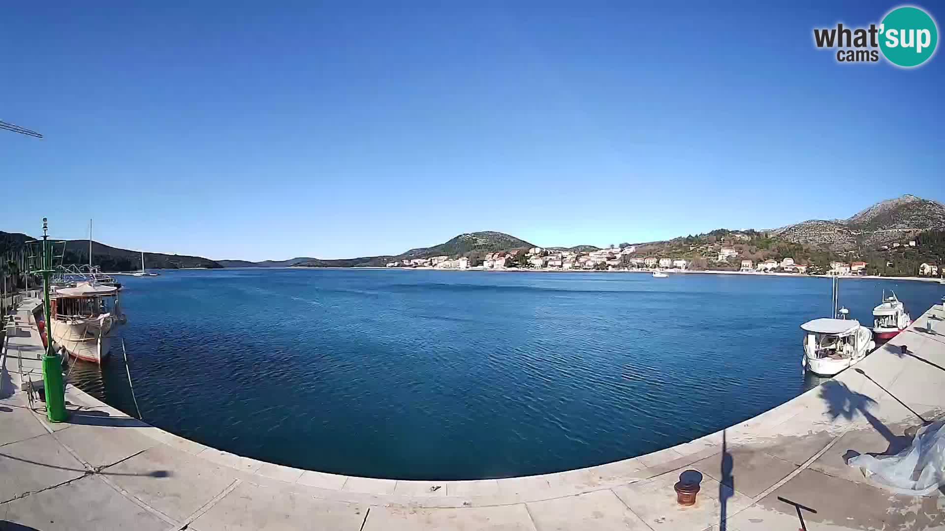 Web kamera Slano – bahía